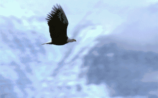 乐心医疗：电子血压计变更受理子公司动态心电图系统注册证成功延续