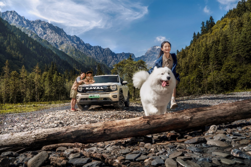 第二代Hi4赋能 哈弗大狗PLUS引领S